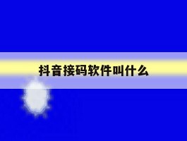 抖音接码软件叫什么