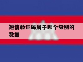 短信验证码属于哪个级别的数据