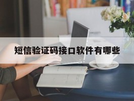 短信验证码接口软件有哪些