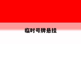 临时号牌悬挂