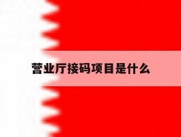 营业厅接码项目是什么