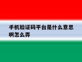 手机验证码平台是什么意思啊怎么弄