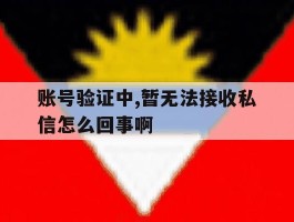 包含账号验证中,暂无法接收私信怎么回事啊的词条