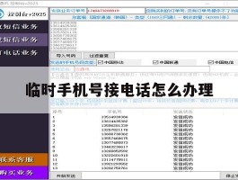临时手机号接电话怎么办理