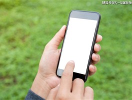 最新免费接收国外验证码平台