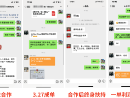 代理平台月入上万怎么样