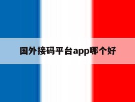 国外接码平台app哪个好