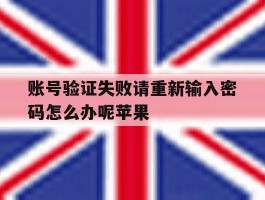账号验证失败请重新输入密码怎么办呢苹果