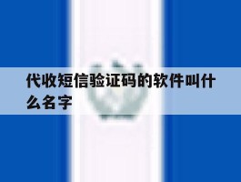 代收短信验证码的软件叫什么名字