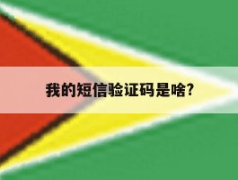 我的短信验证码是啥?
