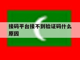 接码平台接不到验证码什么原因