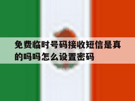 免费临时号码接收短信是真的吗吗怎么设置密码的简单介绍