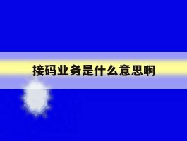 接码业务是什么意思啊