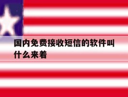 国内免费接收短信的软件叫什么来着