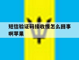 短信验证码接收慢怎么回事啊苹果