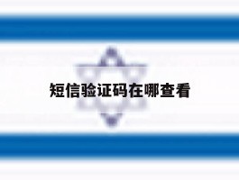 短信验证码在哪查看