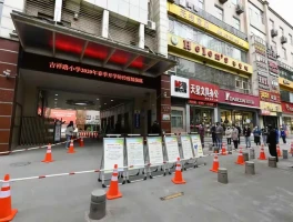 包含2020在线接码的词条