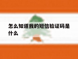 怎么知道我的短信验证码是什么