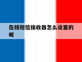 在线短信接收器怎么设置的呢