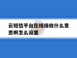 云短信平台在线接收什么意思啊怎么设置
