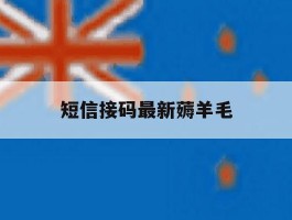 短信接码最新薅羊毛