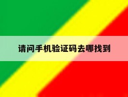 请问手机验证码去哪找到