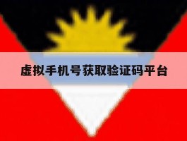 虚拟手机号获取验证码平台