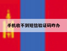 手机收不到短信验证码咋办
