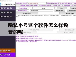 隐私小号这个软件怎么样设置的呢