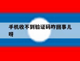 手机收不到验证码咋回事儿呀