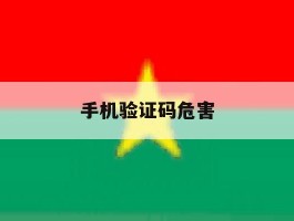 手机验证码危害