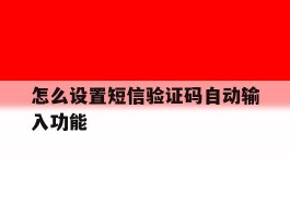 怎么设置短信验证码自动输入功能