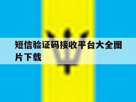 短信验证码接收平台大全图片下载