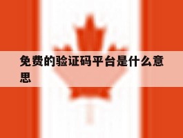 免费的验证码平台是什么意思