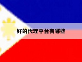 好的代理平台有哪些