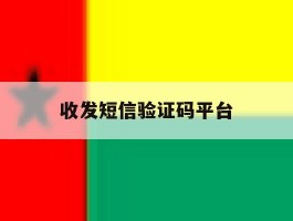 收发短信验证码平台