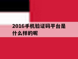 2016手机验证码平台是什么样的呢