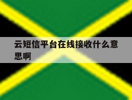 云短信平台在线接收什么意思啊