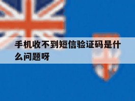 手机收不到短信验证码是什么问题呀
