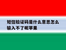 短信验证码是什么意思怎么输入不了呢苹果