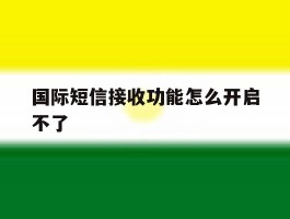 国际短信接收功能怎么开启不了