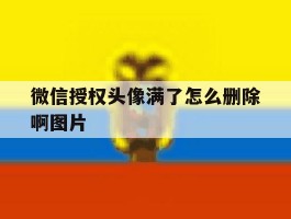 微信授权头像满了怎么删除啊图片