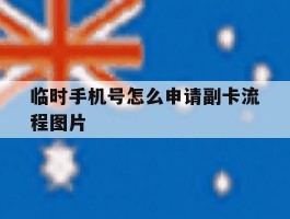 临时手机号怎么申请副卡流程图片