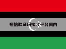 短信验证码接收平台国内