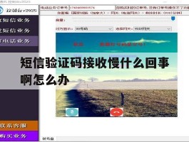 短信验证码接收慢什么回事啊怎么办