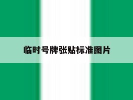 临时号牌张贴标准图片