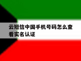 云短信中国手机号码怎么查看实名认证