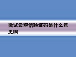 微试云短信验证码是什么意思啊