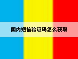 国内短信验证码怎么获取