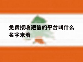 免费接收短信的平台叫什么名字来着